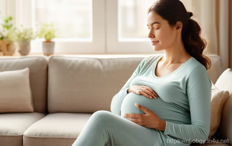 임신성 고혈압 증상과 병원 관리 - **Prompt:** A pregnant woman in her late second or early third trimester, gently seated in a sunlit,...